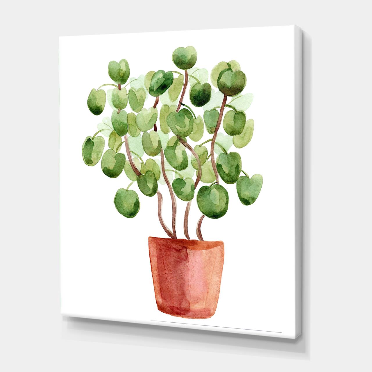 Designart - Chinese Money Plant In Pot - Traditional Canvas Wall Art Print